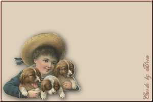 boy and pups