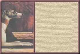 greyt2