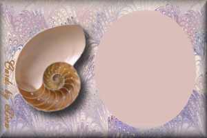 shell