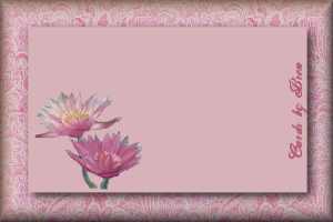 waterlilly