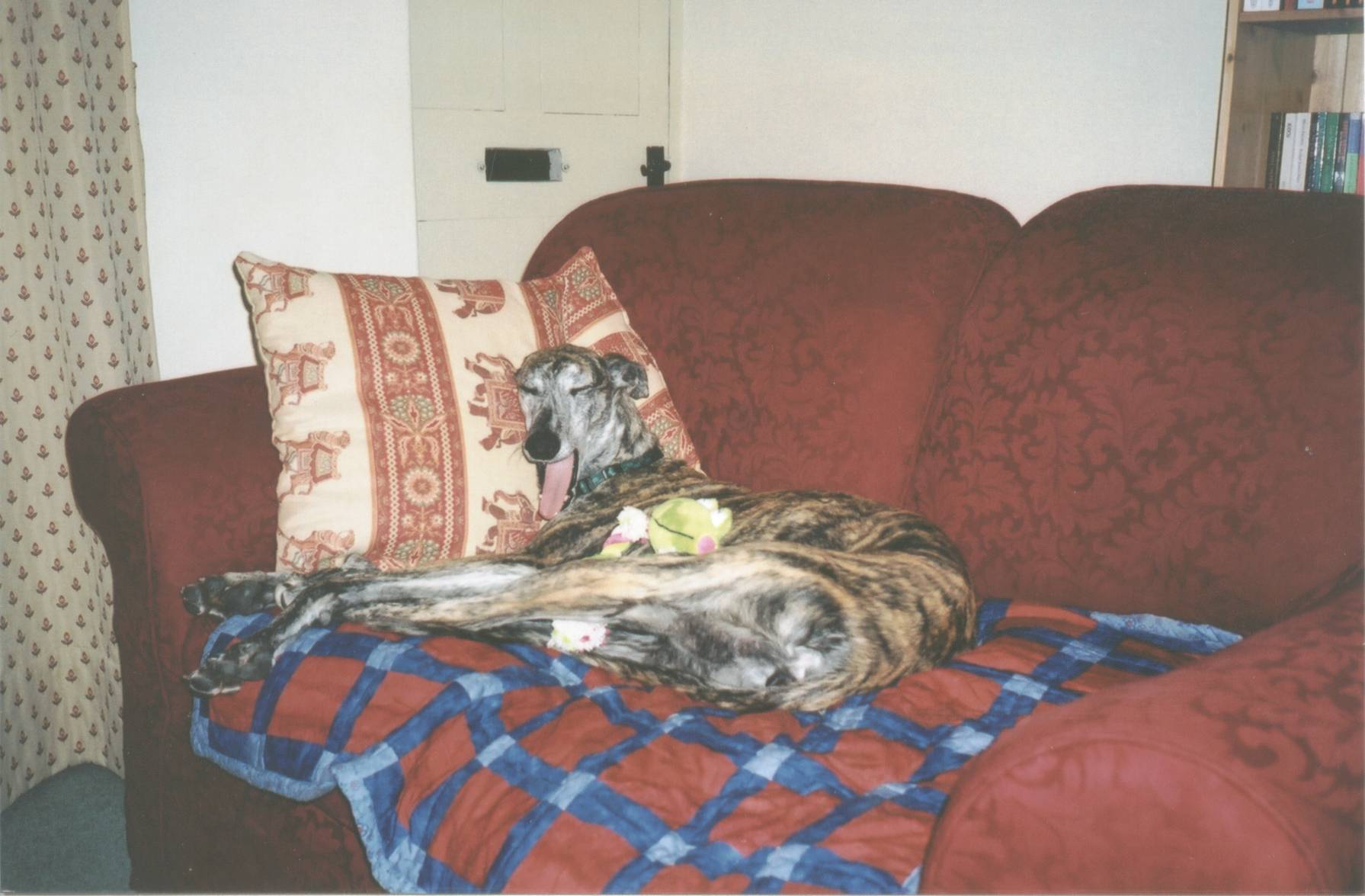 Sofa