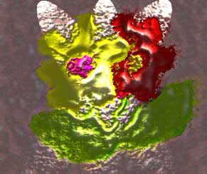 3D flowers - courtesy ME!