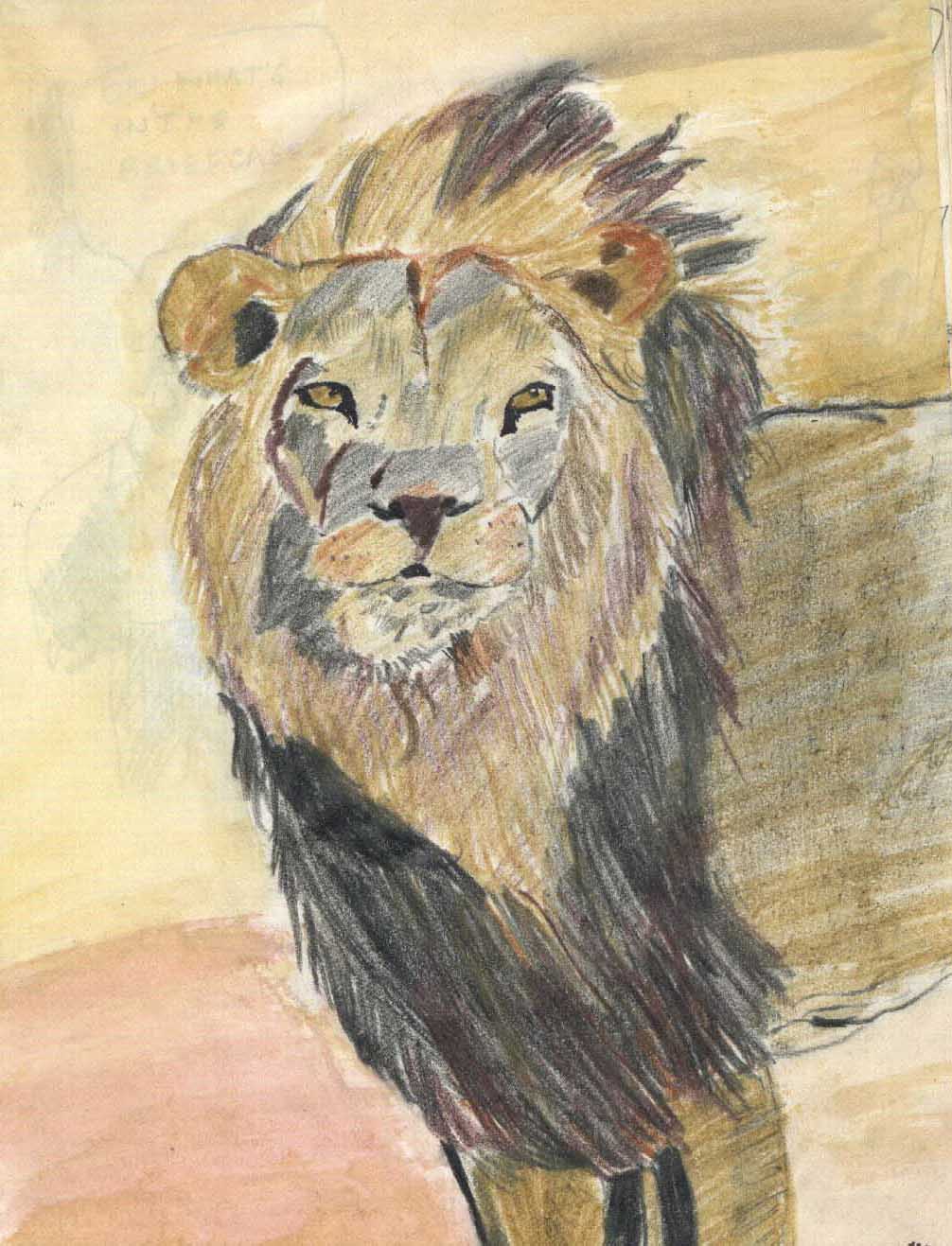 Lion
