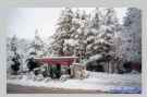 Gasolinera con nieve