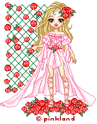 pinklanddamadellerose.gif (10223 bytes)