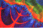 fracex.gif (12755 bytes)