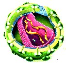 viraidsG20.gif (67031 bytes)