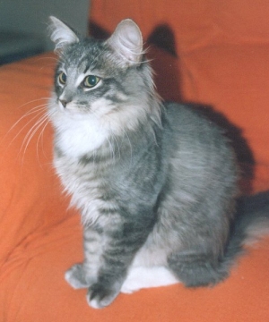 Itaca de Bonany