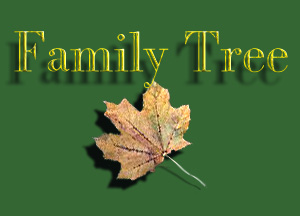 Enter the Family Tree!