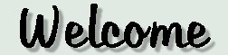 Welcome