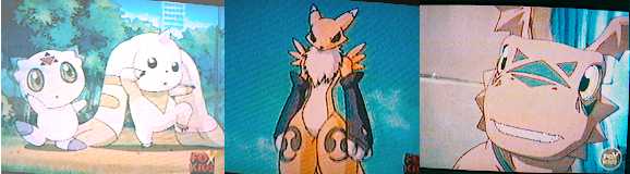 Calumon, Terriermon, Renamon, Guilmon