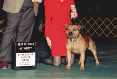 Int'l/AKC Ch. Tonka