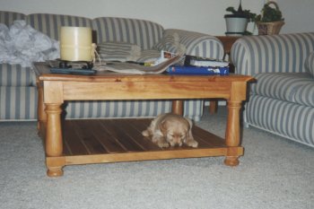 [dogtable]