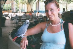 [Amy and Bird]