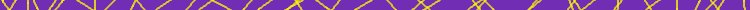 [Purple Bar]