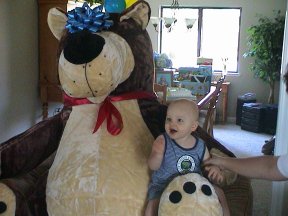 [Bear 1]