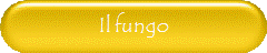 Il fungo