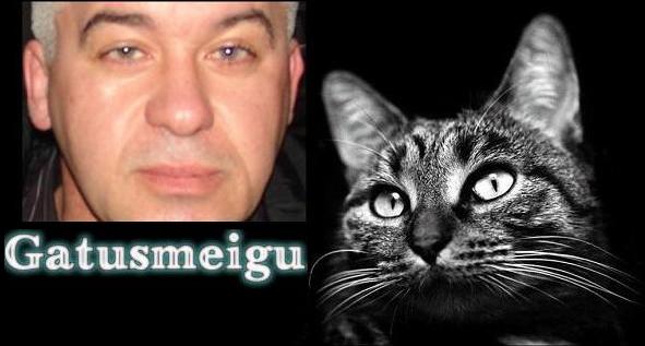 Entrada para Poesia de Gatusmeigu