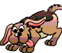 Is it rocky??or maybe bullwinkle???You don't know because your images are off!!