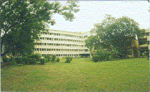 The JLT Lawn