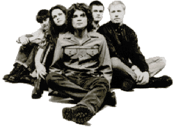 The Wannadies