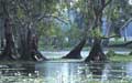 Kakadu N.T.