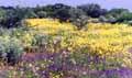 Wildflowers