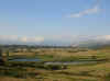 117-1741_IMG.jpg (64661 bytes)