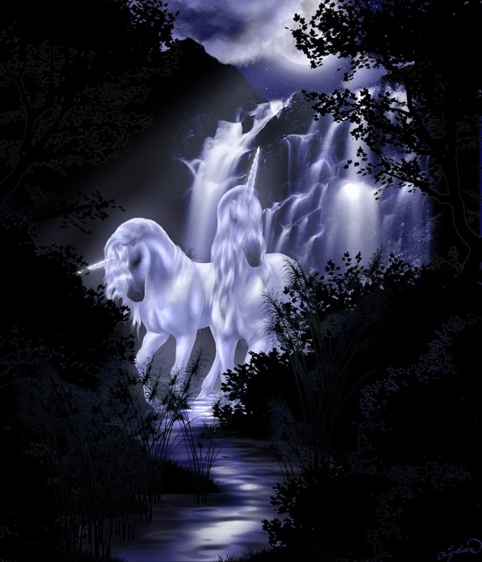 follow_the_moonlight.jpg (124613 bytes)