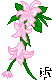 pinkflowers.gif (1692 bytes)