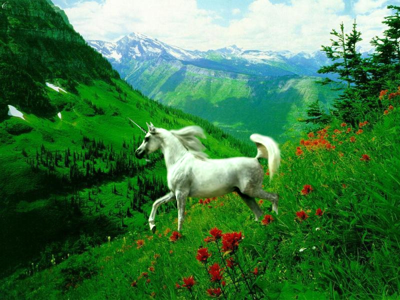 unicorn-comp-032.jpg (300312 bytes)