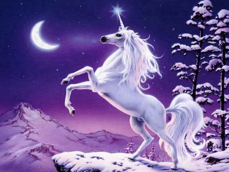 unicorn.jpg (40161 bytes)