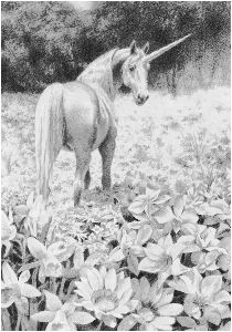 unicorn29.gif (64212 bytes)