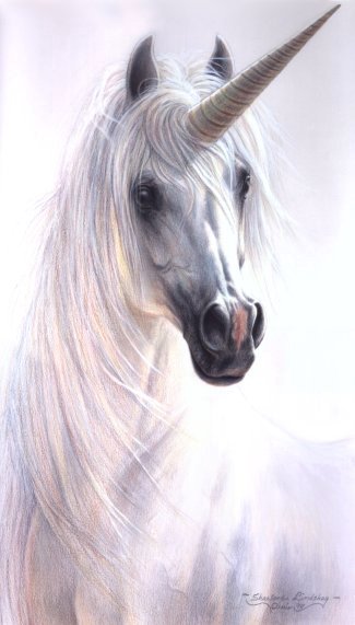 whtunicornmd.jpg (33154 bytes)