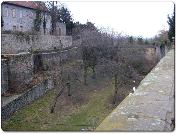 friedberg_moat