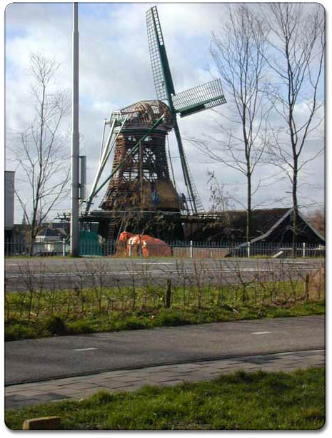 holland04