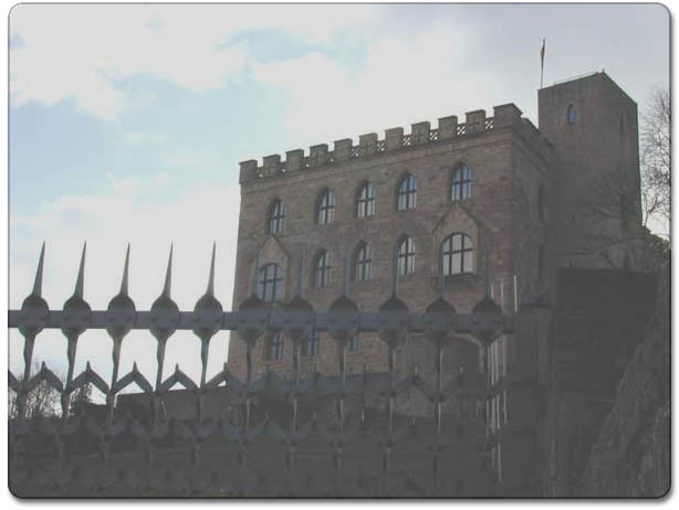 rhine_castle03