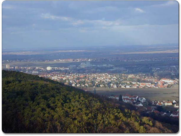 rhine_valley3
