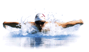 Gay Swimming in the Netherlands
