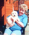 Pippin 7 wks2.jpg (37042 bytes)
