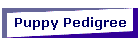 Puppy Pedigree