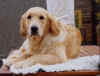 george-4yrs.jpg (16083 bytes)