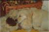 sleep.jpg (198193 bytes)