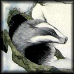 Badger emerging from a gaping vagina after a bout of sexual pot-holing