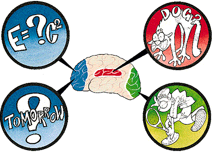 My brain looks nothing like this, nor do I have funny equations coming out of it. Still, best I could do...
