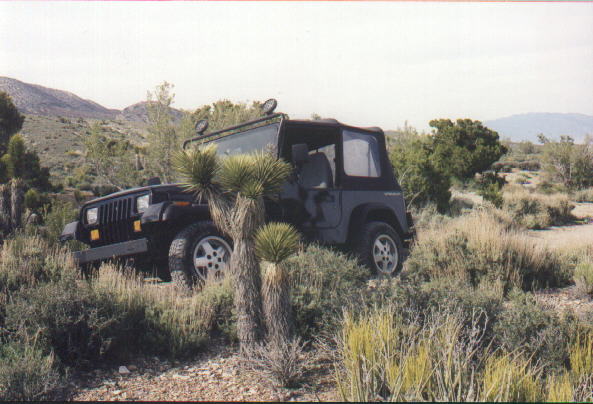 Nevada Desert