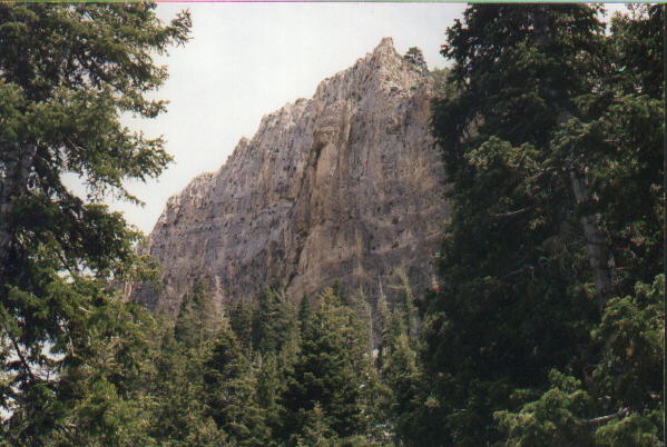 Mt Charleston