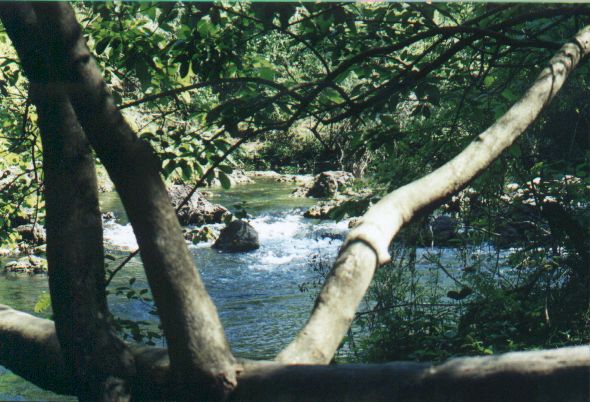Hillsborough Rapids