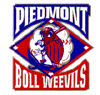 piedmont1.gif (6917 bytes)