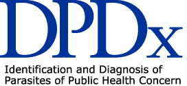 DPDx